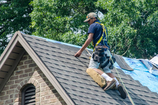 Quick and Trustworthy Emergency Roof Repair Services in Caledonia, MN